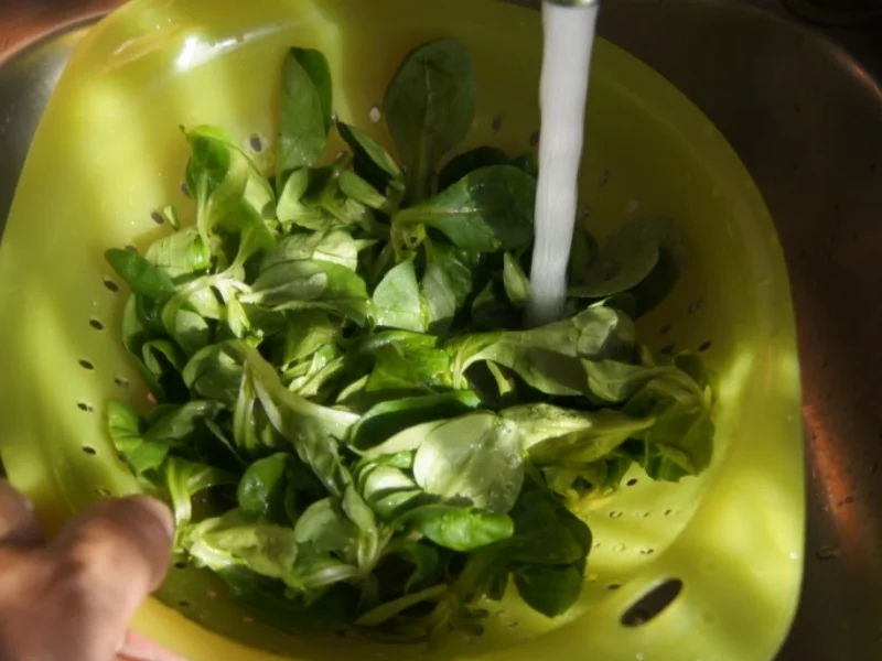 Pulled Pork mit gelben Kartoffeln und Feldsalat - Rezept - Bild Nr. 6273