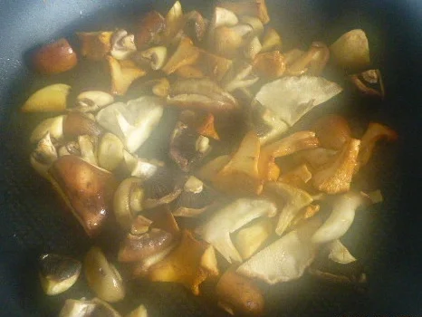 Grüne Pappardelle mit Mischpilzen - Rezept - Bild Nr. 6277