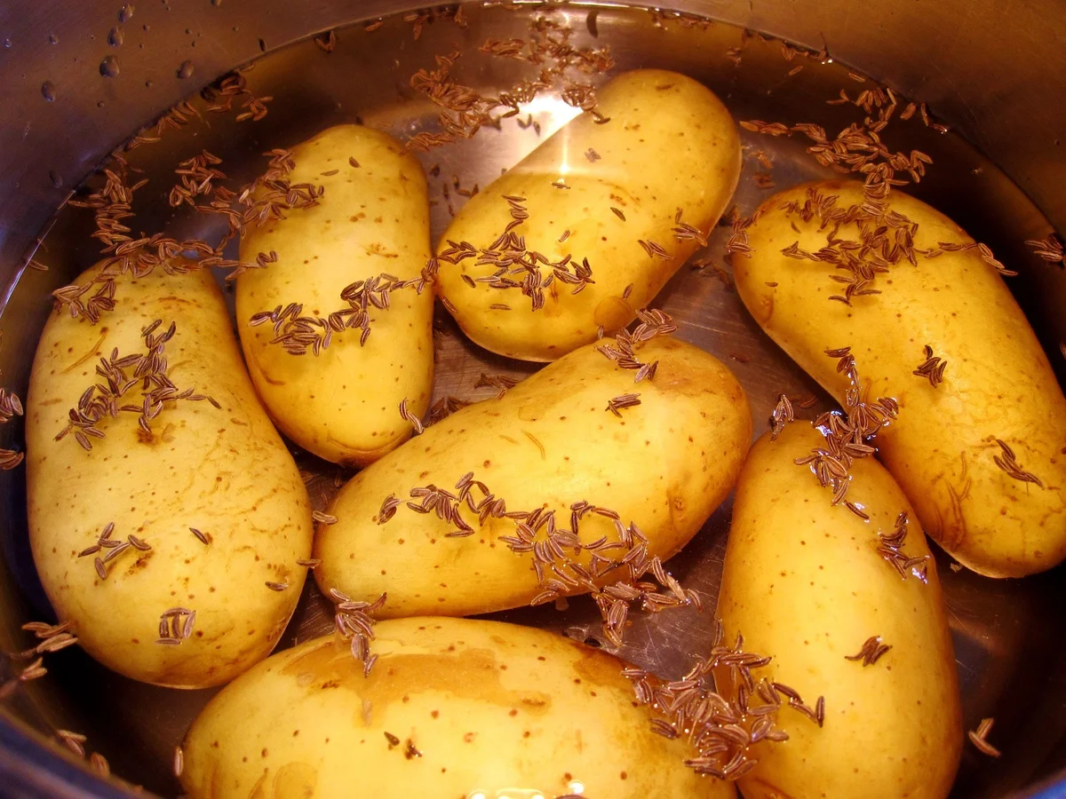 Schlemmerfilet mit Blattspinat ... - Rezept - Bild Nr. 6313