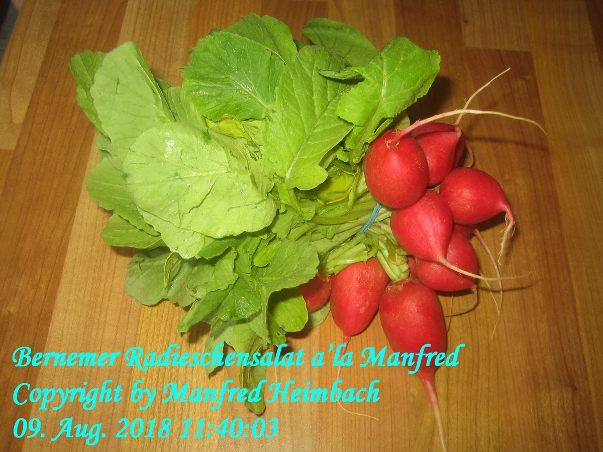 Salat – Bernemer Radieschensalat a’la Manfred - Rezept - Bild Nr. 6345