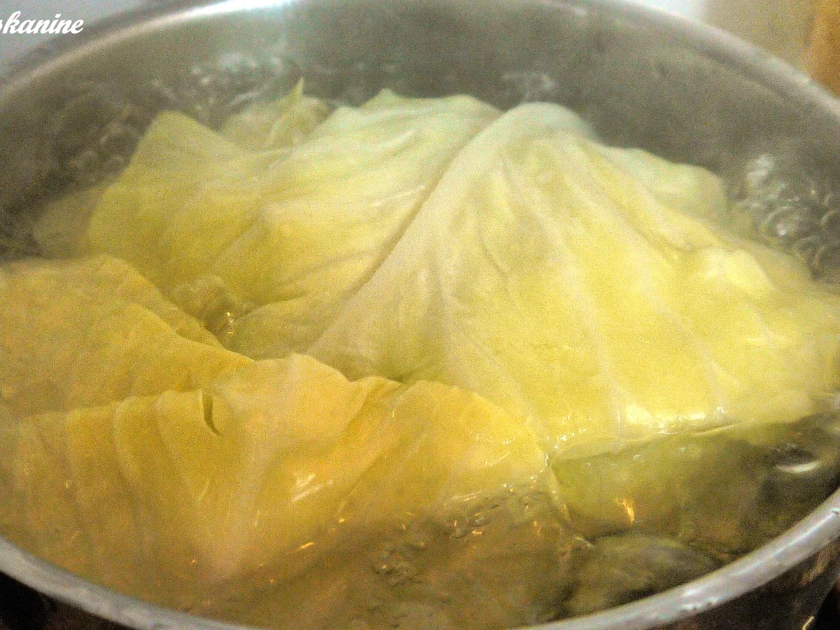 Kohlpudding mit Zwiebelsauce - Rezept - Bild Nr. 6339