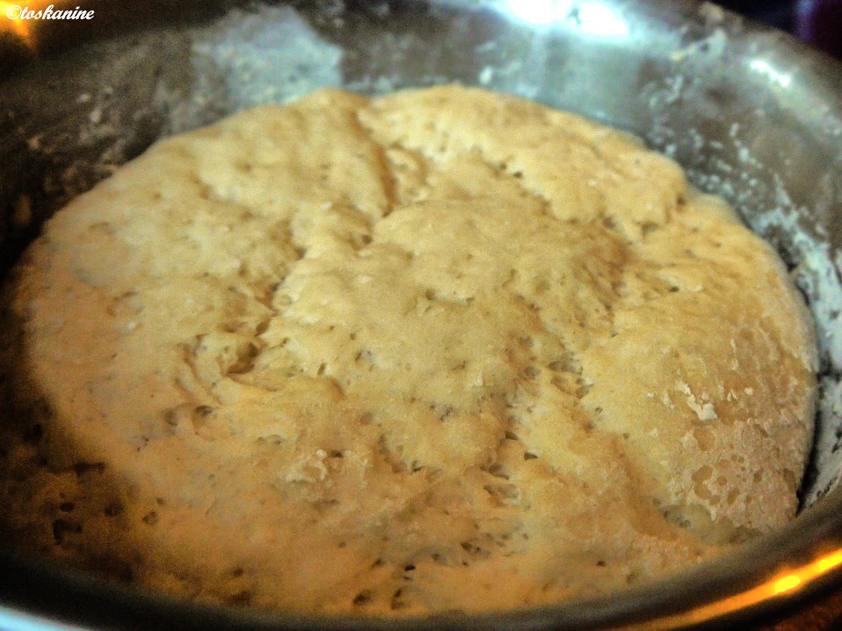 Flammkuchen mit bunten Tomaten - Rezept - Bild Nr. 6363