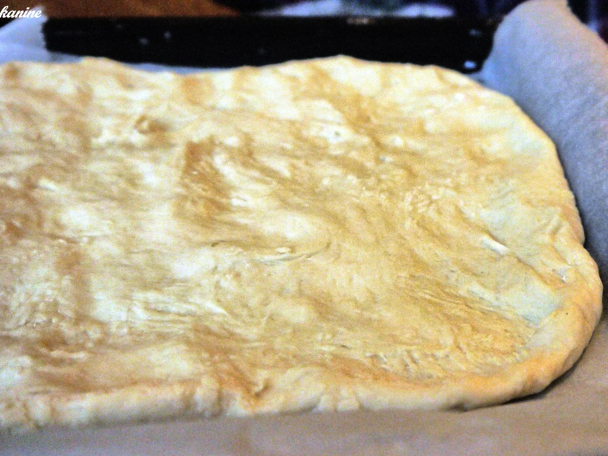 Flammkuchen mit bunten Tomaten - Rezept - Bild Nr. 6365