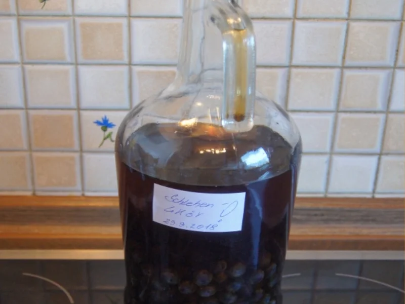 Rezept: Schlehenlikör Bild Nr. 2 Schlehenlikör - Rezept - Bild Nr. 2