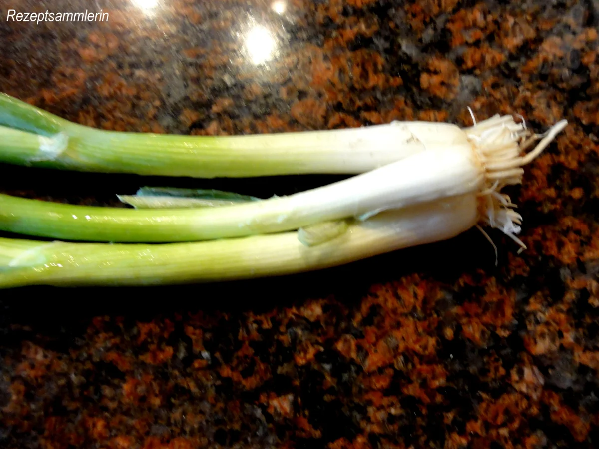 Rezept: Salatbar: KAROTTENSALAT Bild Nr. 5 Salatbar: KAROTTENSALAT - Rezept - Bild Nr. 5