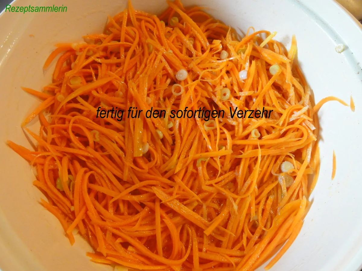 Rezept: Salatbar: KAROTTENSALAT Bild Nr. 6 Salatbar: KAROTTENSALAT - Rezept - Bild Nr. 6