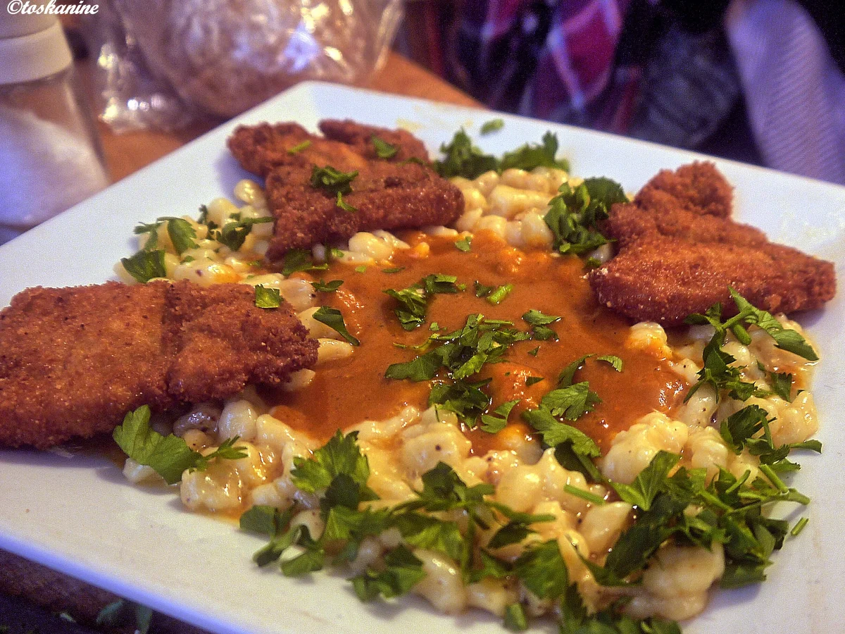 Spirkel, Spätzle, pikante Kürbissauce - Rezept - Bild Nr. 6377