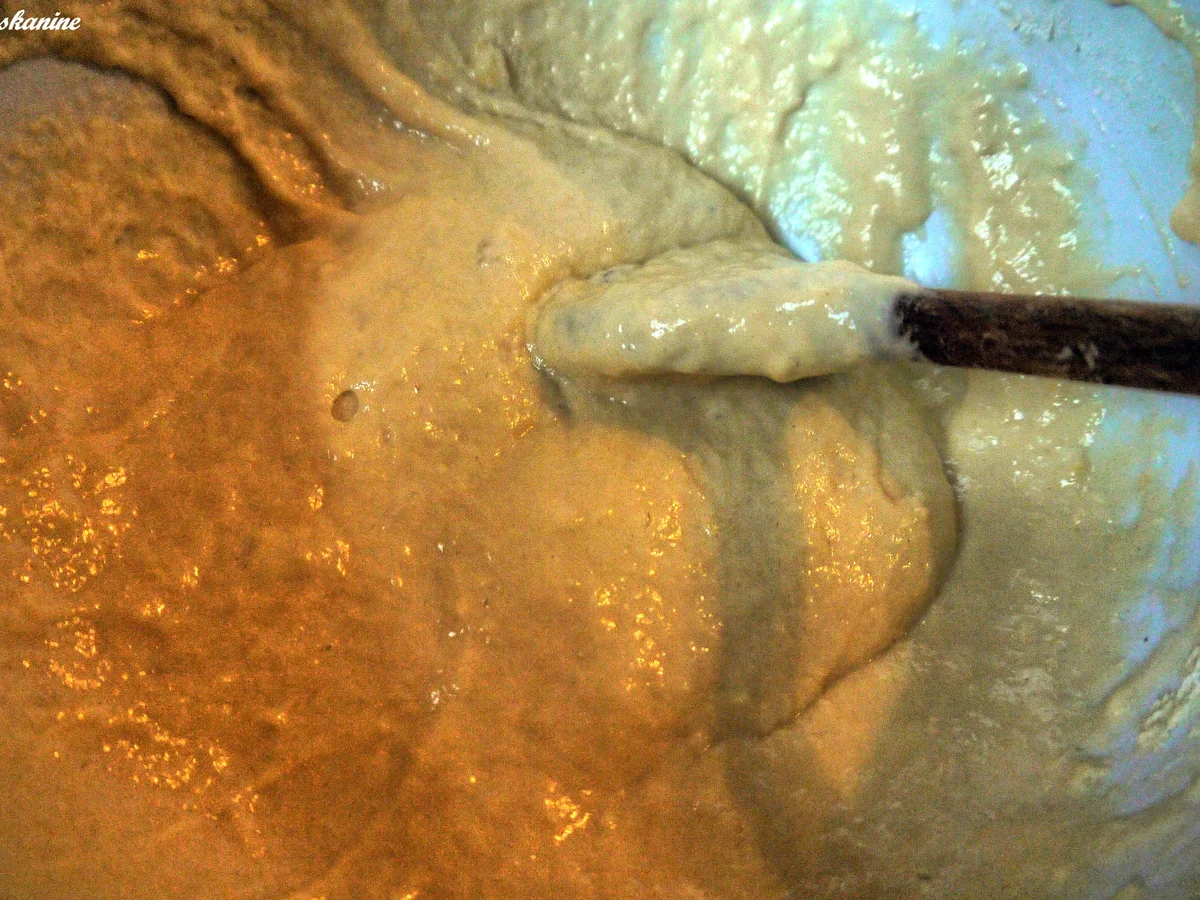 Spirkel, Spätzle, pikante Kürbissauce - Rezept - Bild Nr. 6378