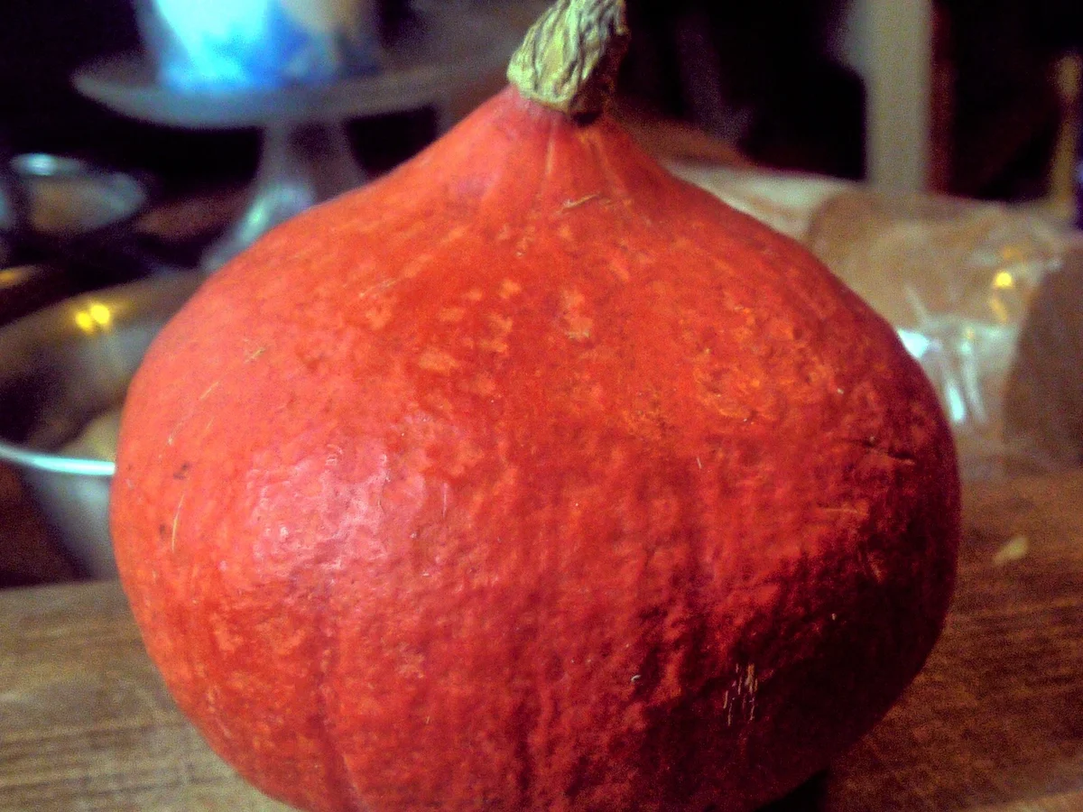 Spirkel, Spätzle, pikante Kürbissauce - Rezept - Bild Nr. 6379