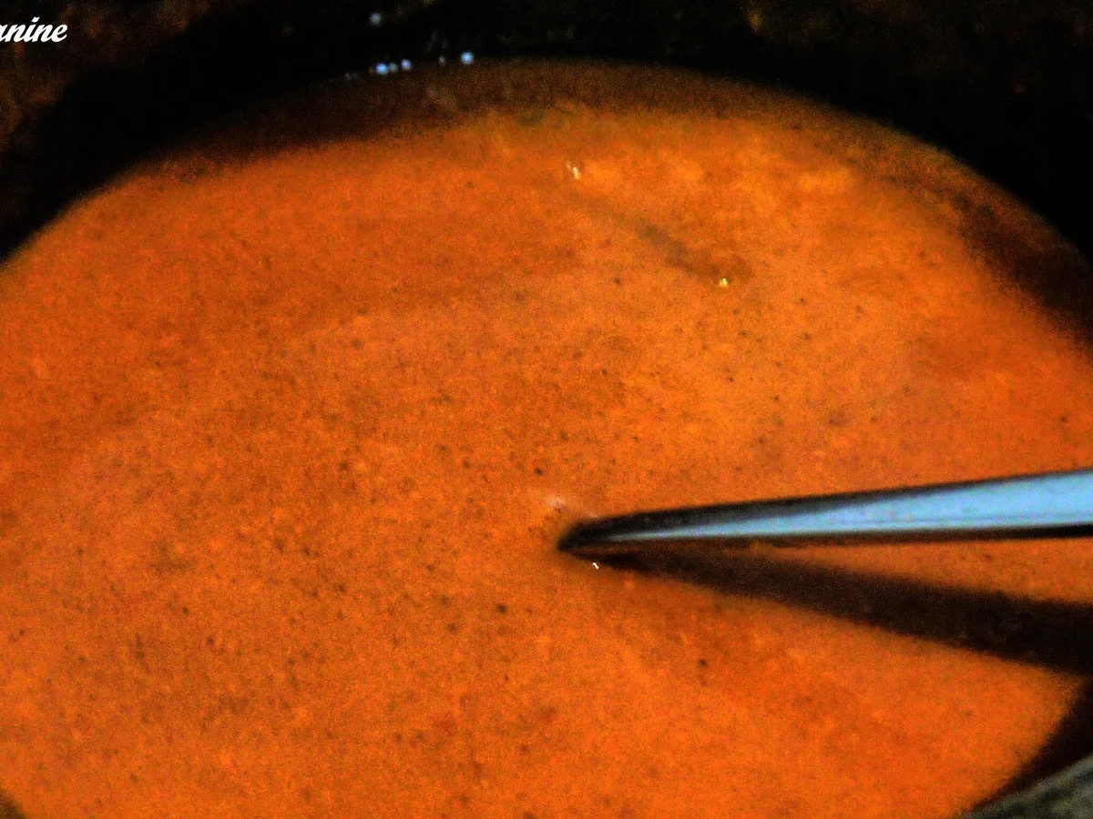 Spirkel, Spätzle, pikante Kürbissauce - Rezept - Bild Nr. 6386