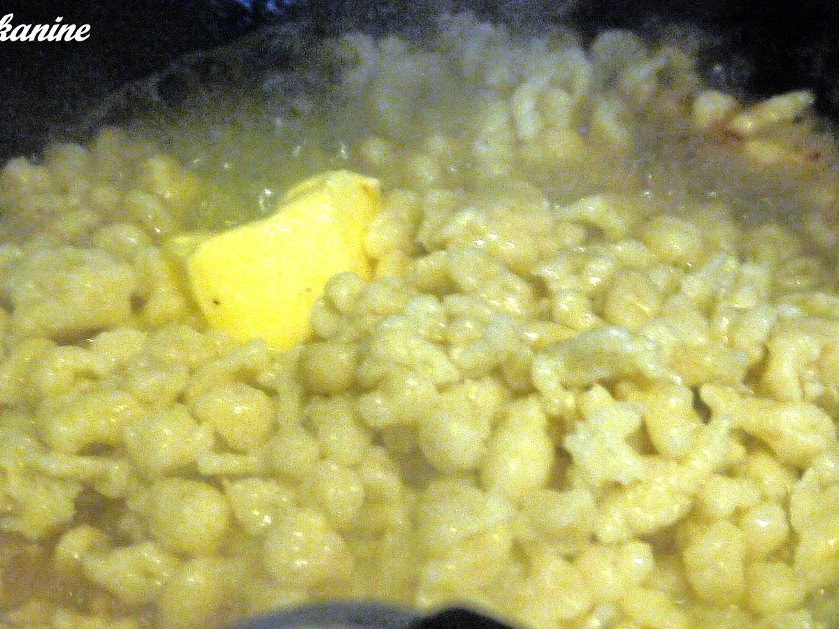 Spirkel, Spätzle, pikante Kürbissauce - Rezept - Bild Nr. 6389