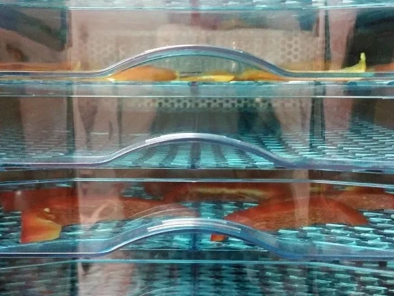 Lebensmittelpulver (auch zum färben von Pasta) selbst herstellen - Rezept - Bild Nr. 6379