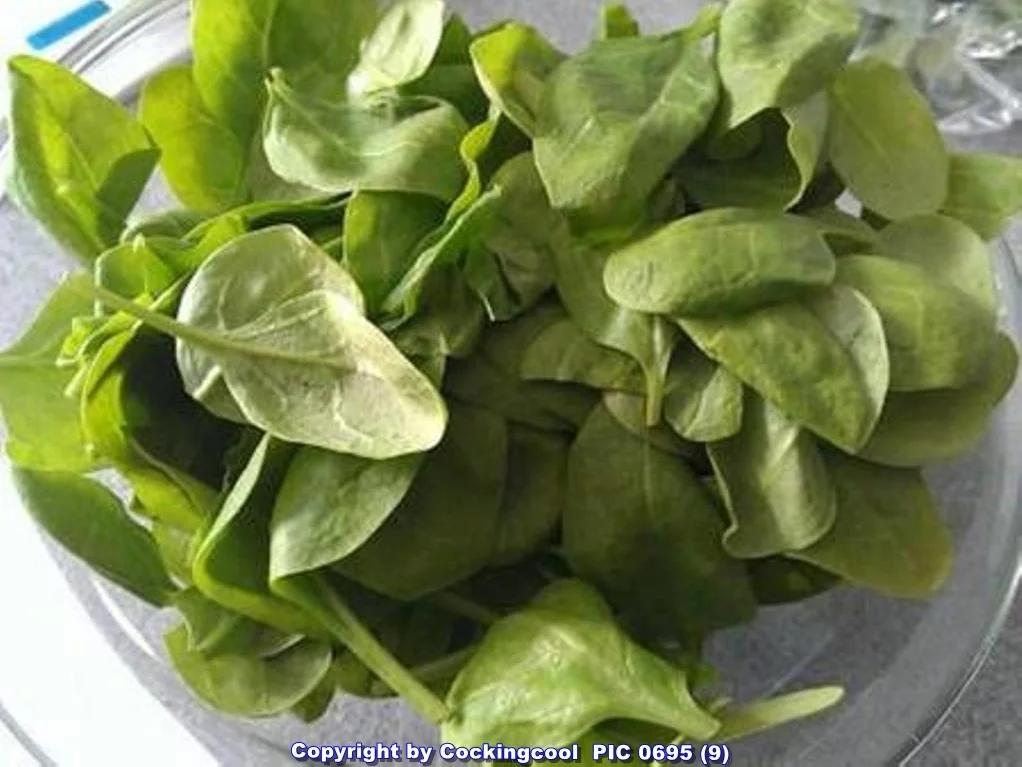 Lebensmittelpulver (auch zum färben von Pasta) selbst herstellen - Rezept - Bild Nr. 6380