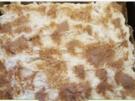 Fantaschnitten mit Pfirsichschmand - Rezept - Bild Nr. 6376