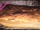 Toastbrot - Rezept - Bild Nr. 6381