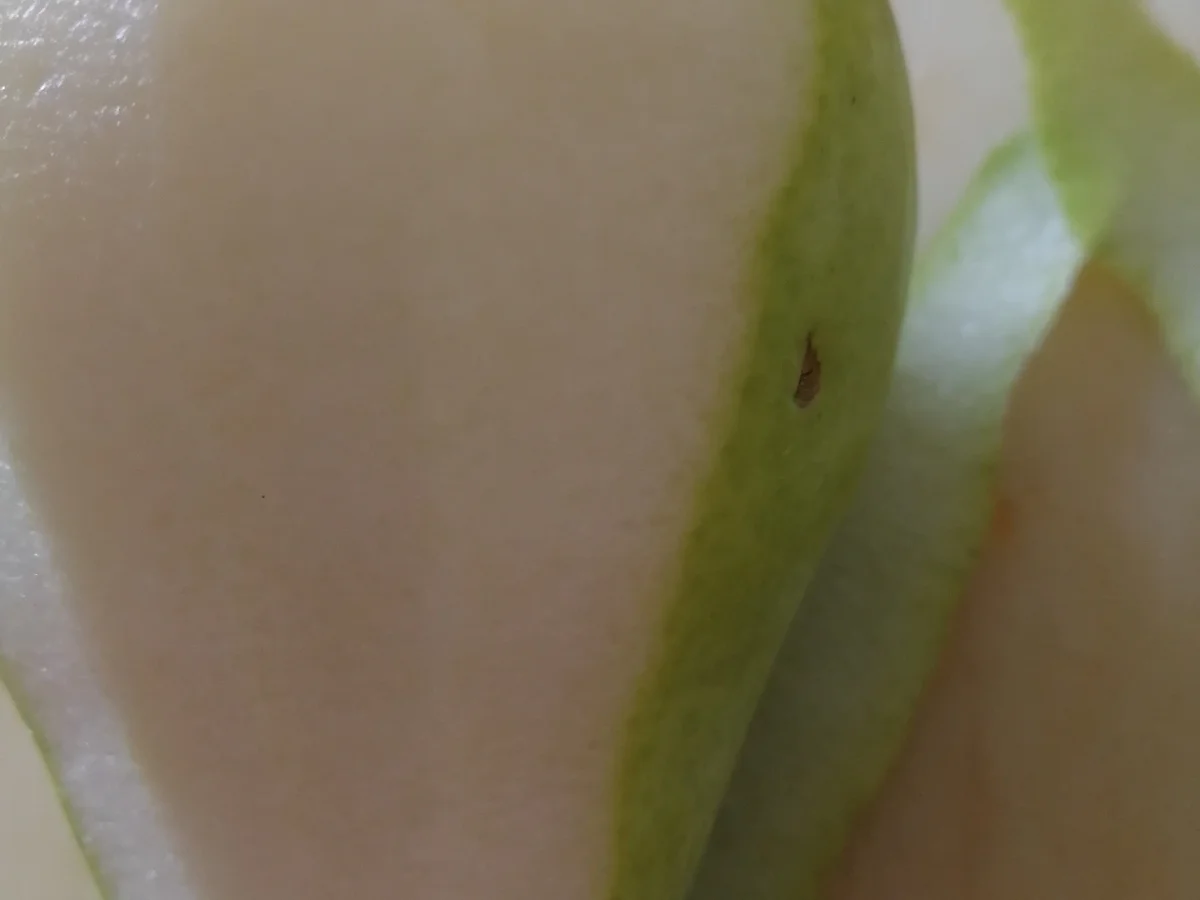 Rote Beete Salat nach Oma´s Art - Rezept - Bild Nr. 6386