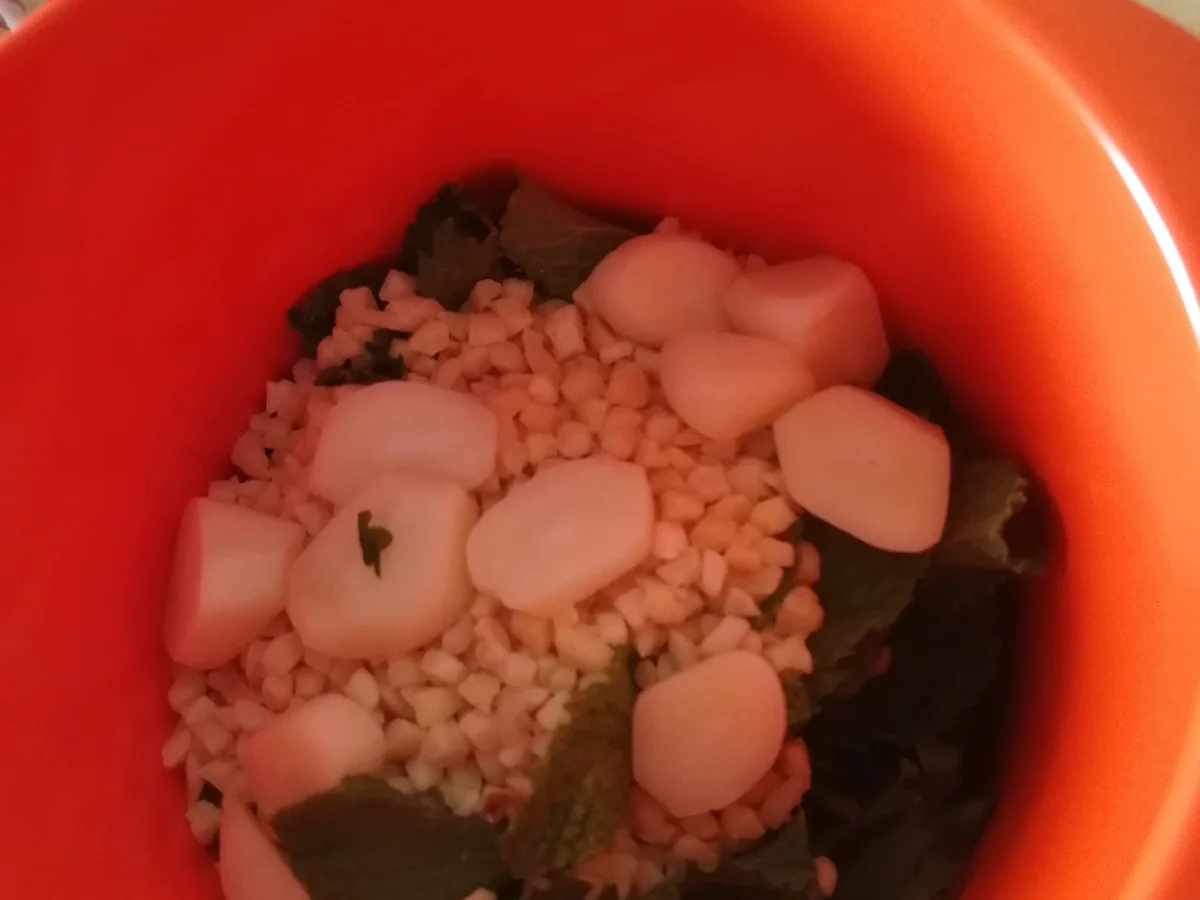 Koriander Knobi Dipp mit MUT - Rezept - Bild Nr. 6383