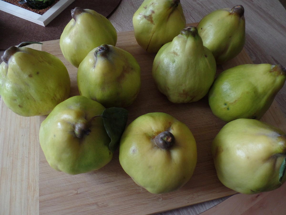 Quitten-Gelee mit Vanille - Rezept mit Bild - kochbar.de