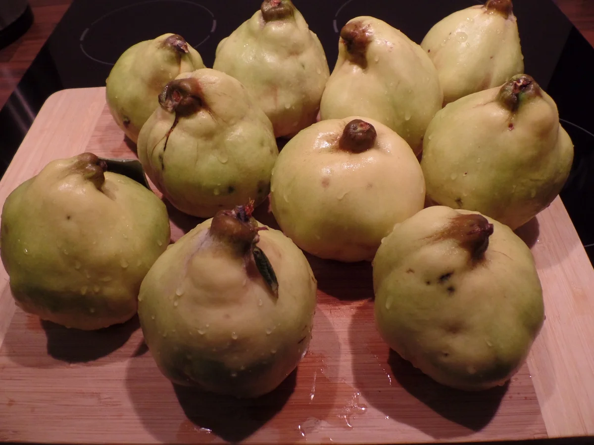 Quitten-Gelee mit Vanille - Rezept - Bild Nr. 6384