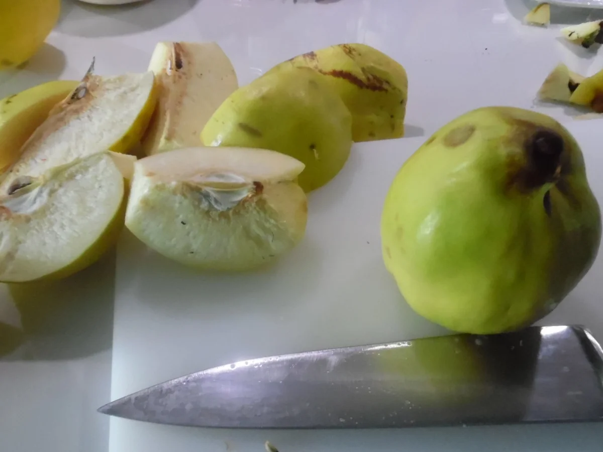 Quitten-Konfekt, auch "Quitten-Brot" genannt - Rezept - Bild Nr. 6397