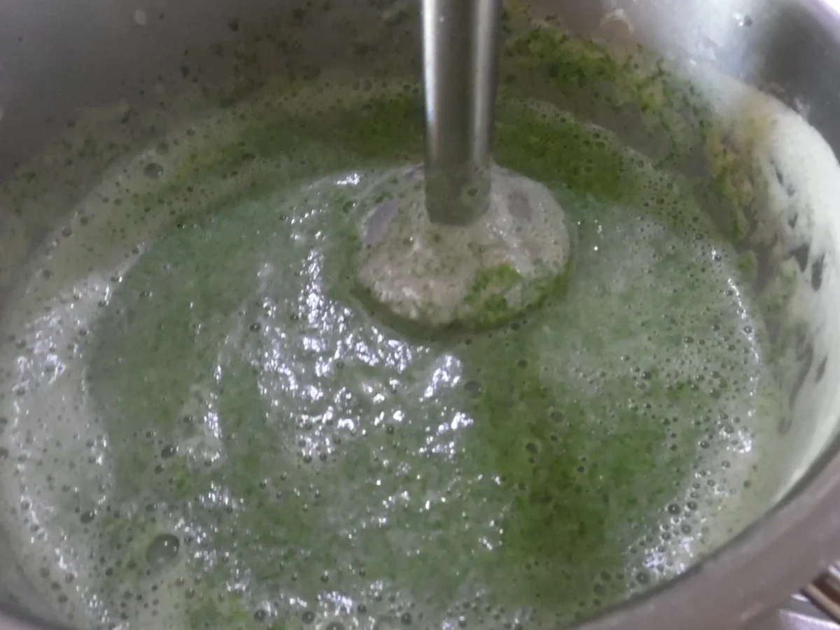 Schweinefilet-Röllchen, Spinat-Gorgonzolasoße und Gnocchi - Rezept - Bild Nr. 6400