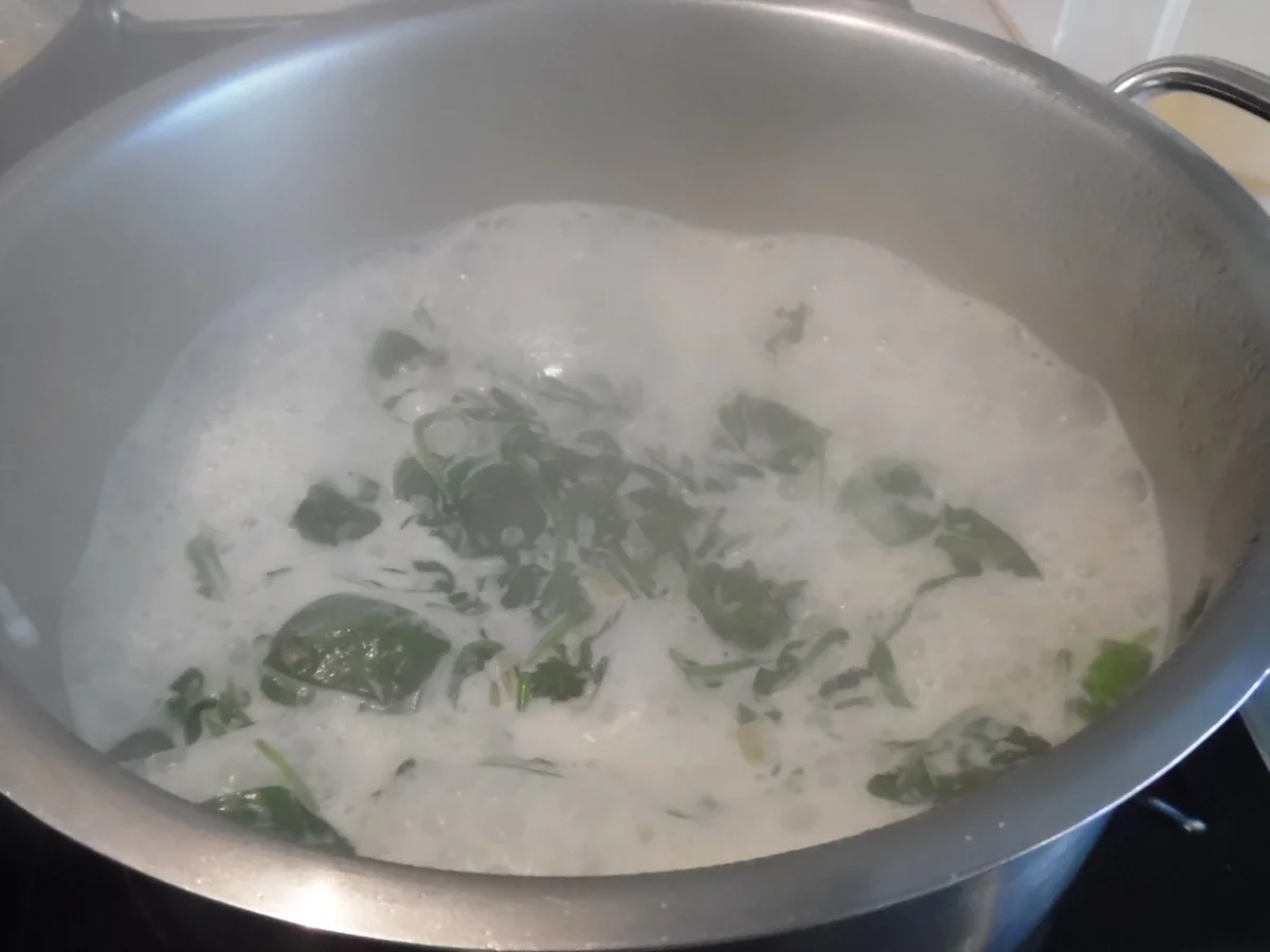 Schweinefilet-Röllchen, Spinat-Gorgonzolasoße und Gnocchi - Rezept - Bild Nr. 6401