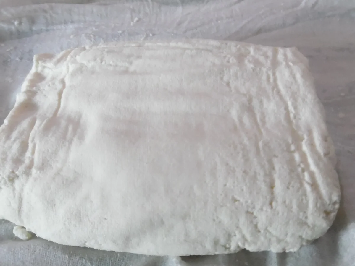 Paneer - Rezept - Bild Nr. 6391