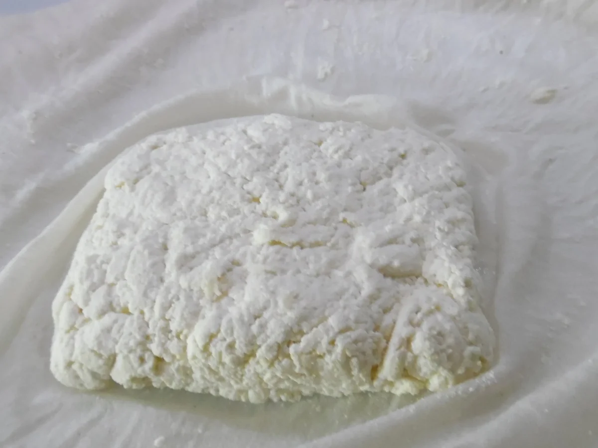 Paneer - Rezept - Bild Nr. 6395