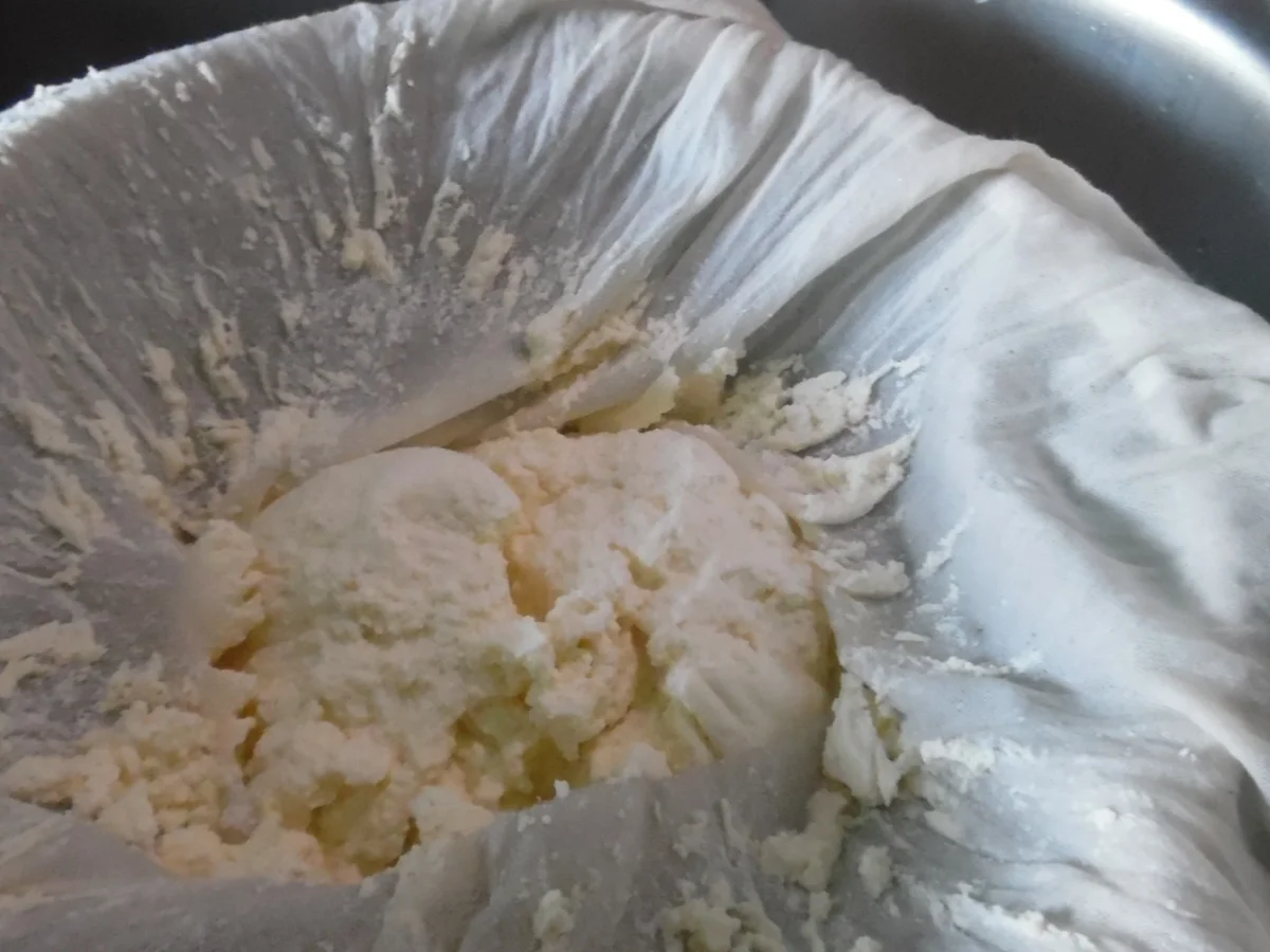 Paneer - Rezept - Bild Nr. 6396