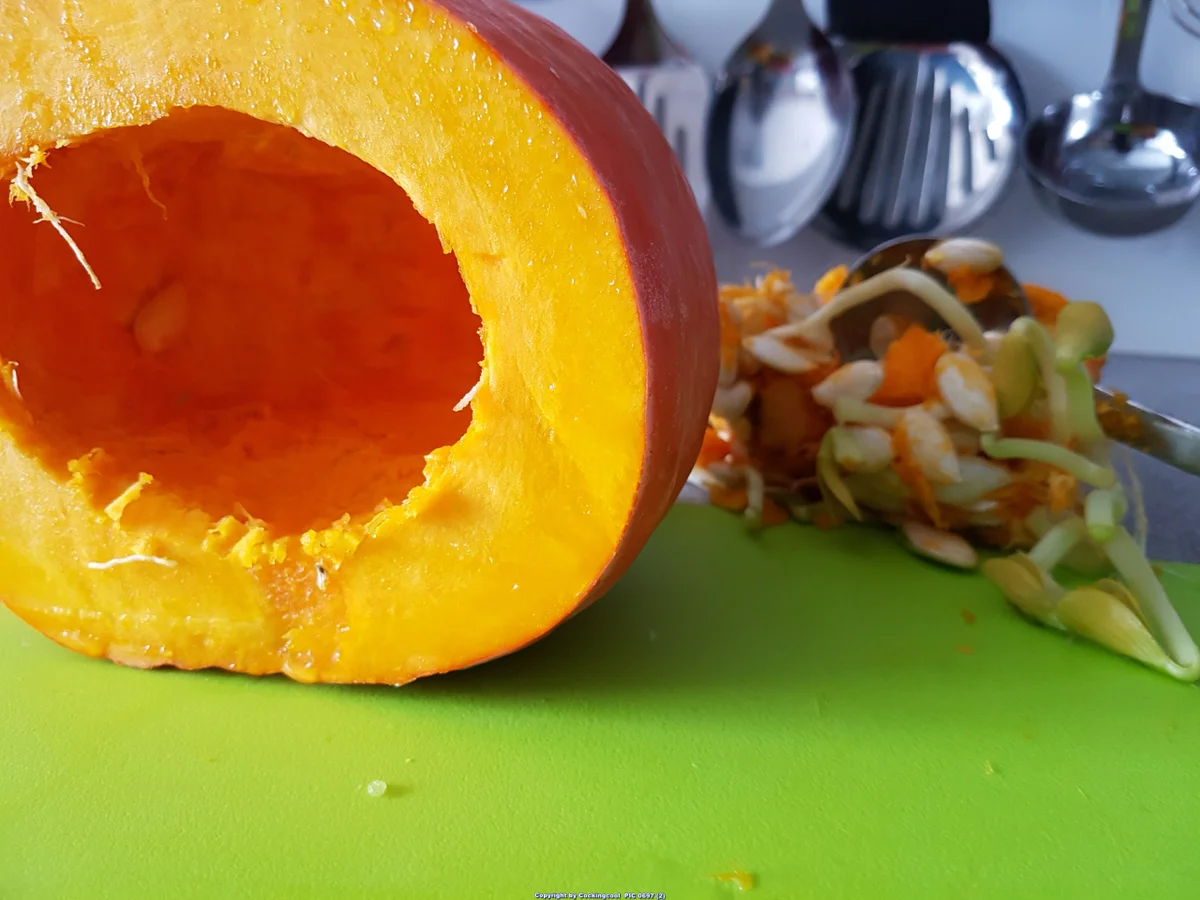 "Hokaido" Kürbissuppe 2.0 - Rezept - Bild Nr. 6417