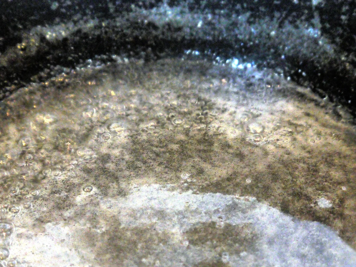 Beschwipste Kirschtaschen - Rezept - Bild Nr. 4