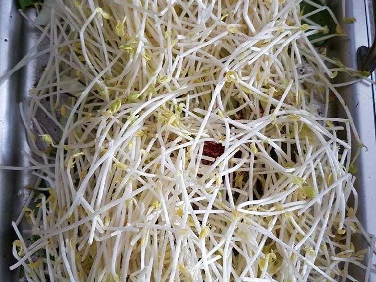 Rezept: Biggi`s Gemüsebeilagen = Heute mal eine Gemüsepfanne Bild Nr. 6482 Biggi`s Gemüsebeilagen = Heute mal eine Gemüsepfanne - Rezept - Bild Nr. 6482