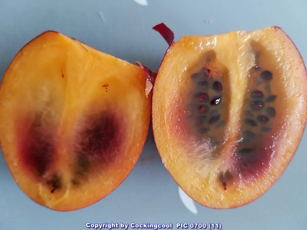 Rezept: Biggi`s Gemüsebeilagen = Heute mal eine Gemüsepfanne Bild Nr. 6484 Biggi`s Gemüsebeilagen = Heute mal eine Gemüsepfanne - Rezept - Bild Nr. 6484