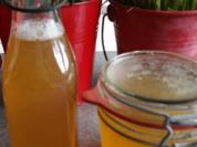 Fermentiertes Wasser (aus eigener Herstellung) - Rezept - Bild Nr. 6479