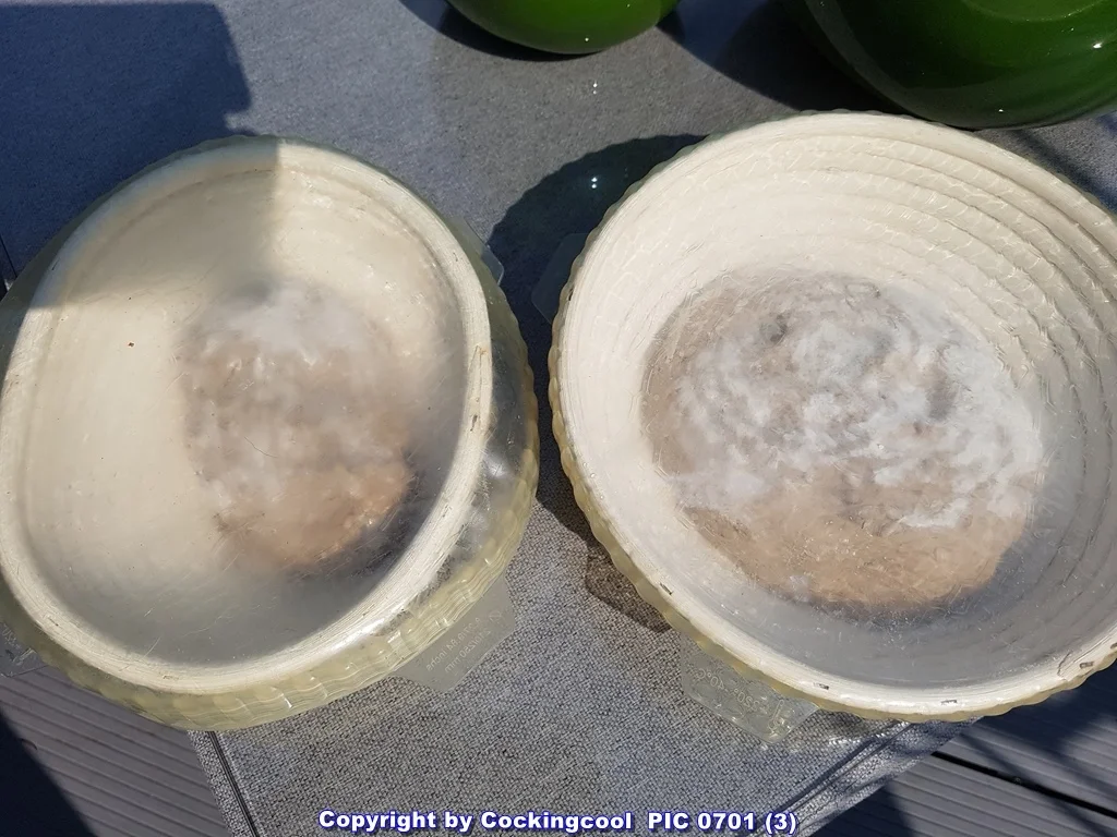 Rezept: Fermentiertes Wasser (aus eigener Herstellung) Bild Nr. 6480 Fermentiertes Wasser (aus eigener Herstellung) - Rezept - Bild Nr. 6480