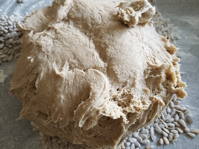 Rezept: Fermentiertes Wasser (aus eigener Herstellung) Bild Nr. 6481 Fermentiertes Wasser (aus eigener Herstellung) - Rezept - Bild Nr. 6481