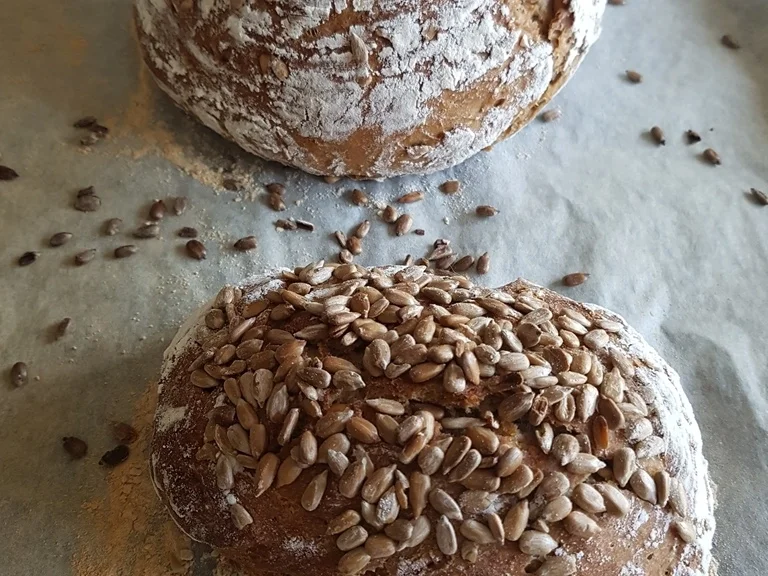 Rezept: Fermentiertes Wasser (aus eigener Herstellung) Bild Nr. 6483 Fermentiertes Wasser (aus eigener Herstellung) - Rezept - Bild Nr. 6483