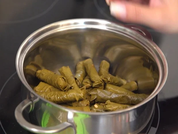 Hummus, gefüllte Weinblätter und Auberginenpaste - Rezept - Bild Nr. 2