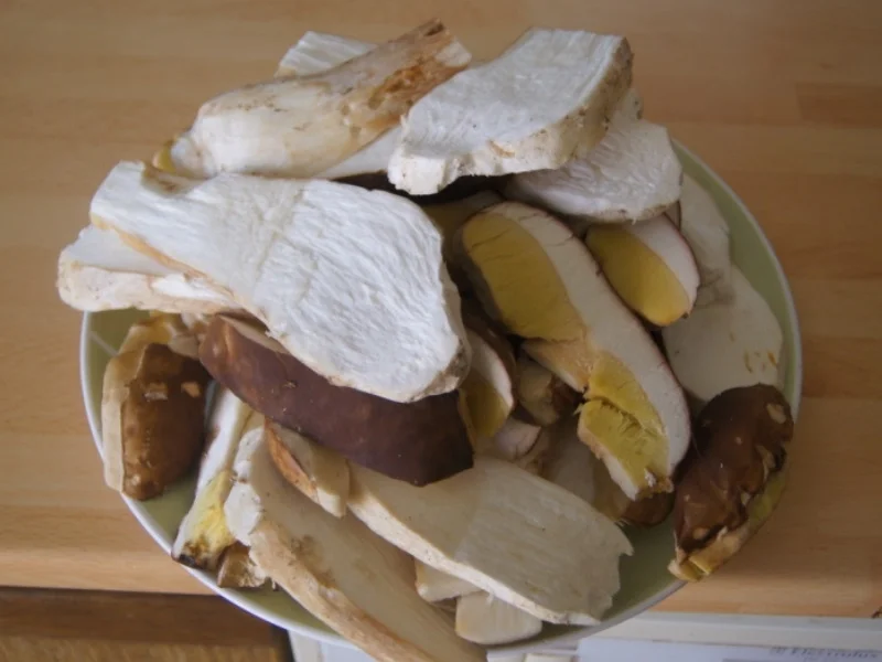 Rezept: Steinpilzschnitzel Bild Nr. 6511 Steinpilzschnitzel - Rezept - Bild Nr. 6511