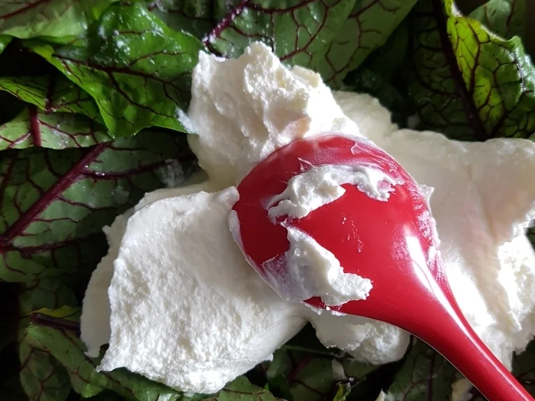 Rezept: Sauerampfersuppe à la Biggi Bild Nr. 6511 Sauerampfersuppe à la Biggi - Rezept - Bild Nr. 6511