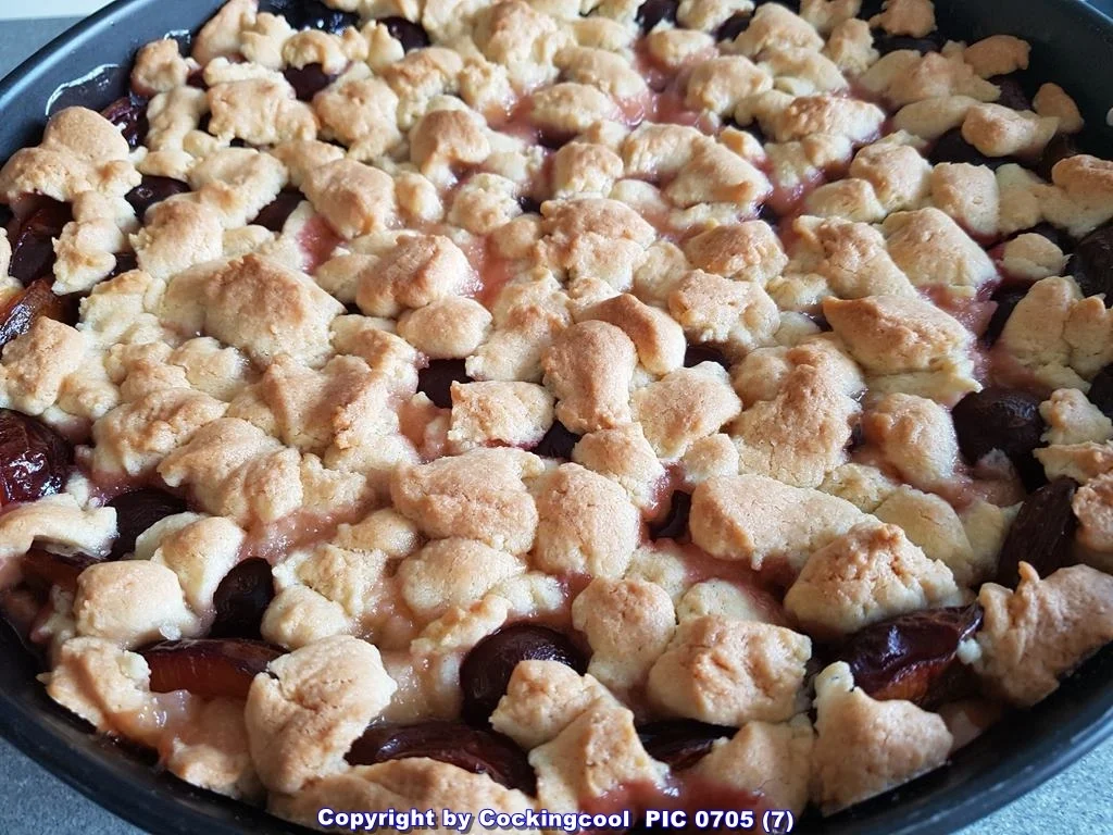 Streuselkuchen mit Pflaumen - Rezept - Bild Nr. 6517