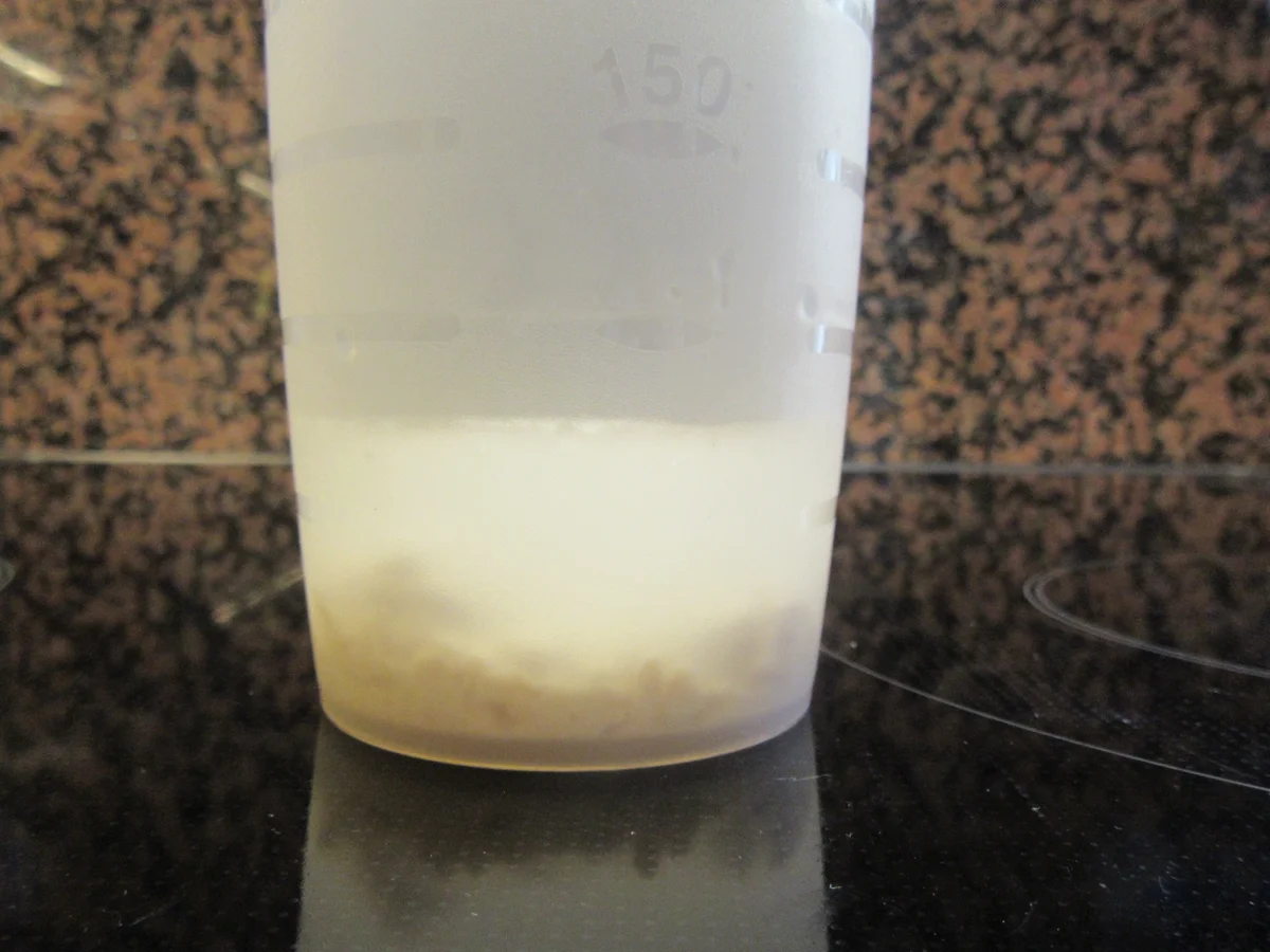 Pikantes Backen: Lauch-Kartoffel-Kuchen - Rezept - Bild Nr. 6603