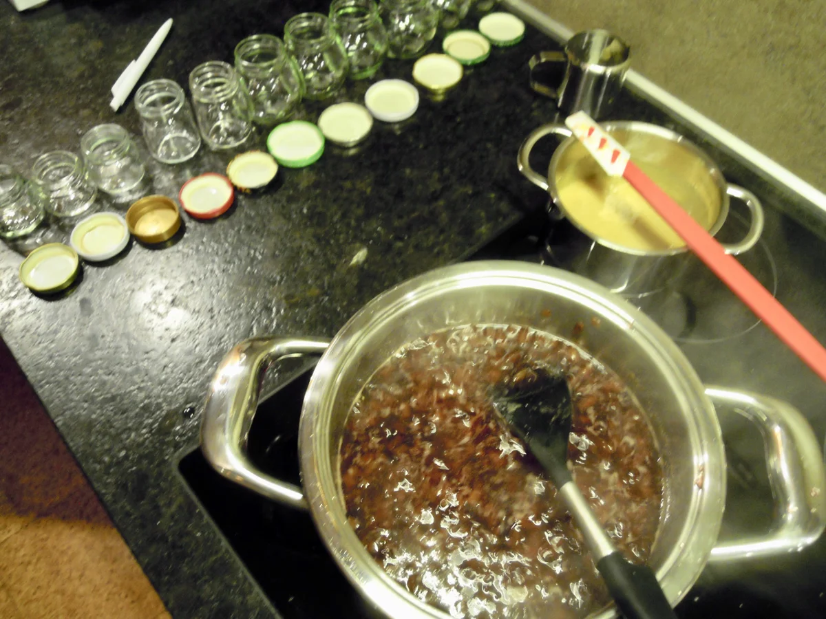 Rezept: Pikante Zwetschgen - Mostarda Marmelade Bild Nr. 6629 Pikante Zwetschgen - Mostarda Marmelade - Rezept - Bild Nr. 6629