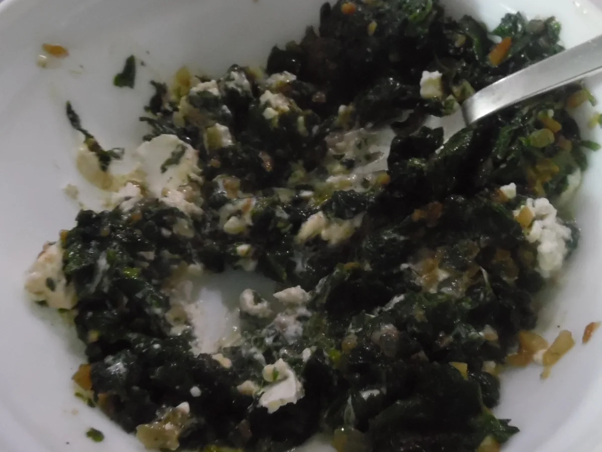 Schlutzkrapfen "bayrische Art" mit Specksoße und Röstzwiebeln - Rezept - Bild Nr. 6610