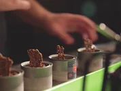 Craft-Bier-Sorbet mit Motorölaufguss und Knuspermalz - Rezept - Bild Nr. 2