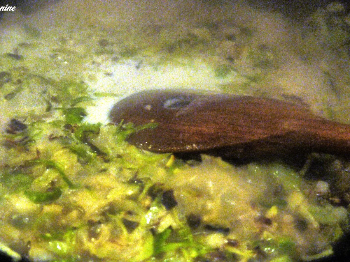 Rezept: Pasta mit Rosenkohl-Pfeffer-Sauce Bild Nr. 7 Pasta mit Rosenkohl-Pfeffer-Sauce - Rezept - Bild Nr. 7