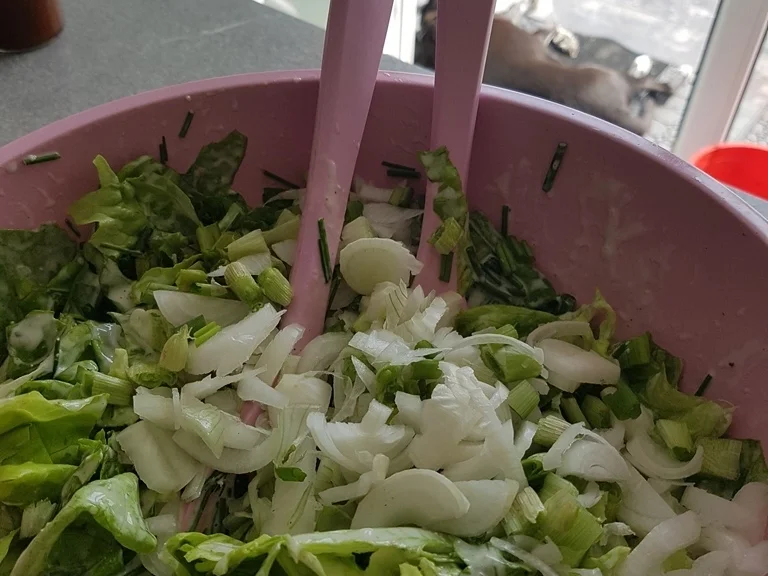 Rezept: Kalbsleber (sautiert) mit Salat und Pasta Bild Nr. 6639 Kalbsleber (sautiert) mit Salat und Pasta - Rezept - Bild Nr. 6639