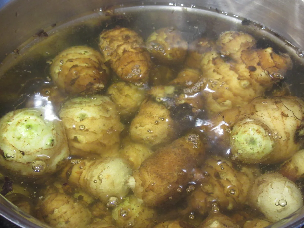 Suppen: Topinambur-Lauch-Suppe - Rezept - Bild Nr. 6625