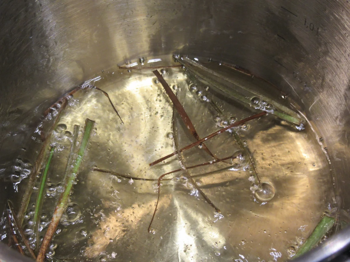 Suppen: Topinambur-Lauch-Suppe - Rezept - Bild Nr. 6633