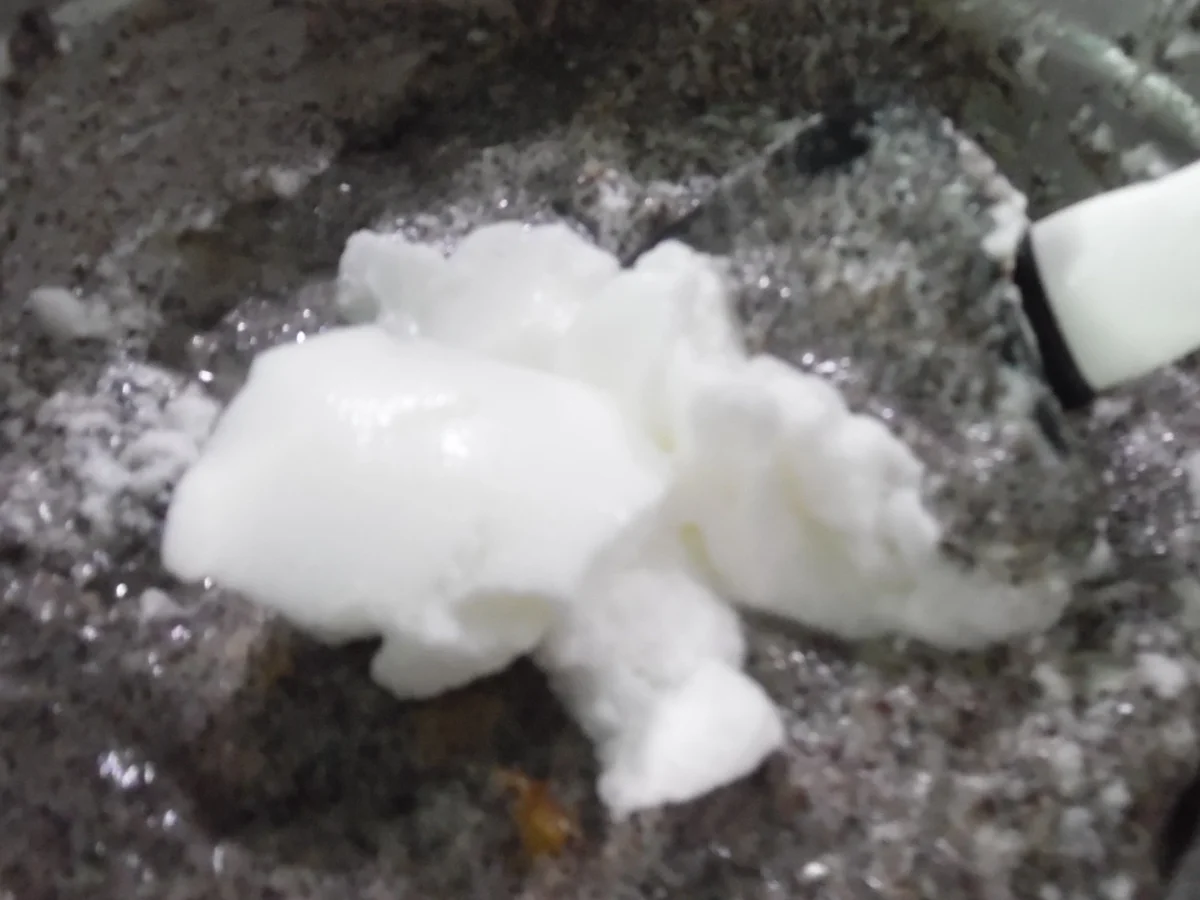 Mohn-Aprikosen-Kranz - Rezept - Bild Nr. 6631